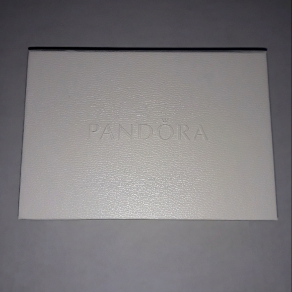 (New) Pandora Cleaning Kit - Picture 6 of 7